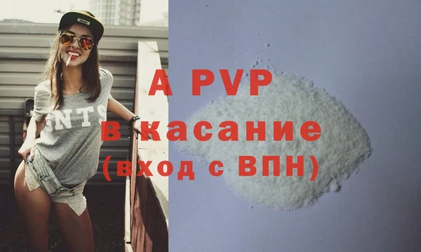 соль ск Инсар