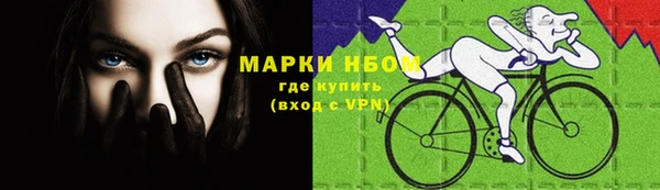 соль ск Инсар