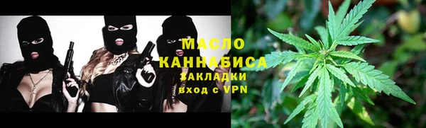 соль ск Инсар