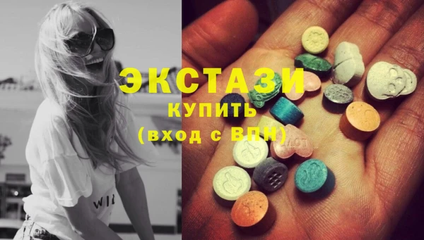 соль ск Инсар