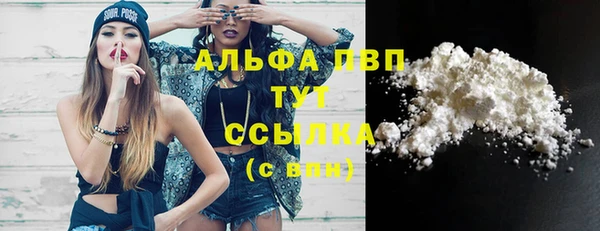 соль ск Инсар