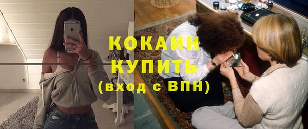 соль ск Инсар