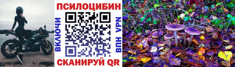 Галлюциногенные грибы прущие грибы  Купить где  Карасук 
